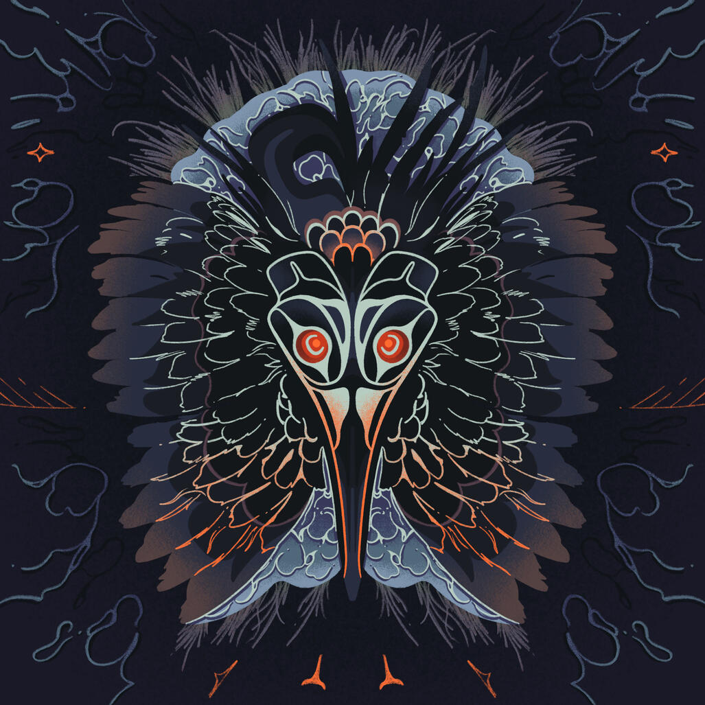 t'u'utsgm ḵ'asḵ'oos, 2025; a black heron performing its famous hunting technique of casting a shadow on the water with its wings.