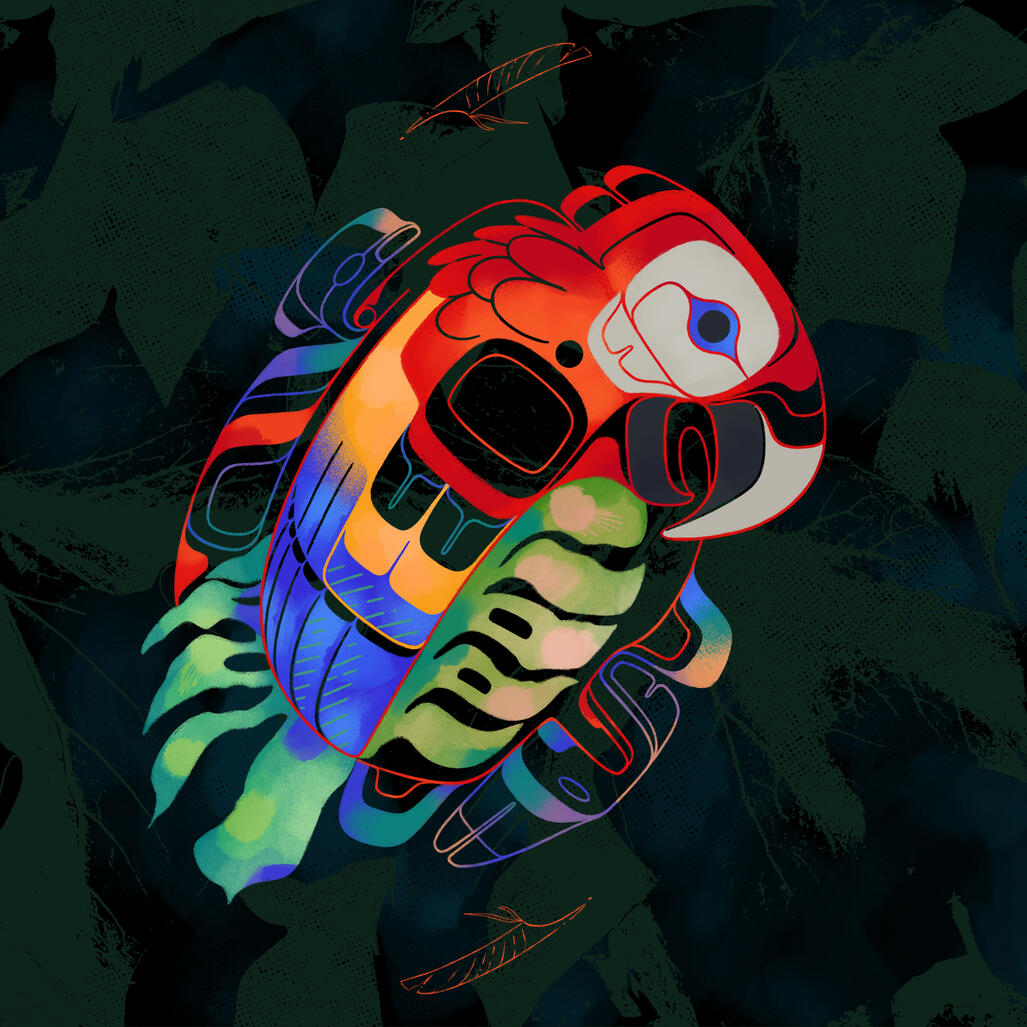 asgyaabag̱a ts'u'uts, 2025; a macaw putting their language (spirits) into the air, unashamed and boisterous.